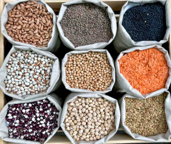 Seeds