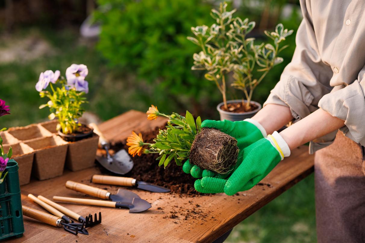 Gardening Tools